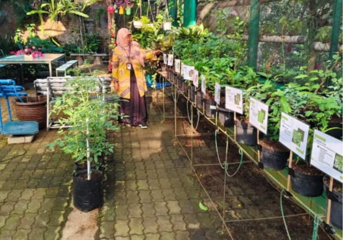 Green House